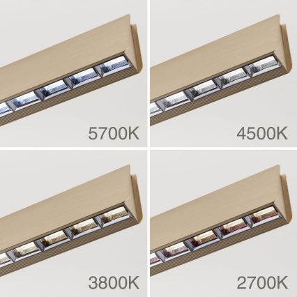 LED Zatemnitveni lestenec na vrvici TARA LED/44W/230V 2700/3800/4500/5700K zlata