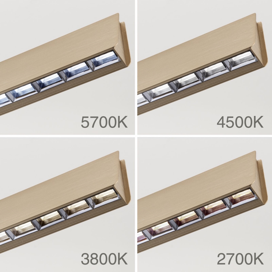 LED Zatemnitveni lestenec na vrvici TARA LED/44W/230V 2700/3800/4500/5700K zlata
