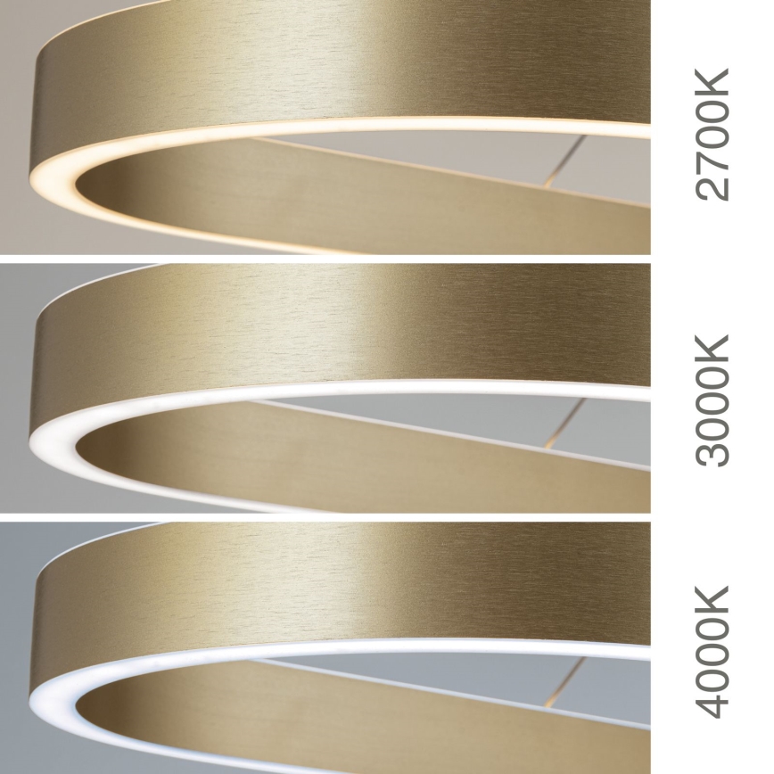 LED viseči lestenec na kablu CARRARA LED/80W/230V 2700/3000/4000K zlati