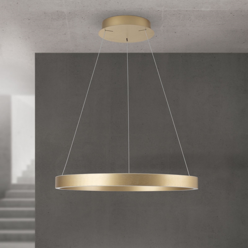 LED zatemljiv lestenec na kablu KOLK LED/60W/230V 2700/3000/4000K premer 60 cm v zlati barvi