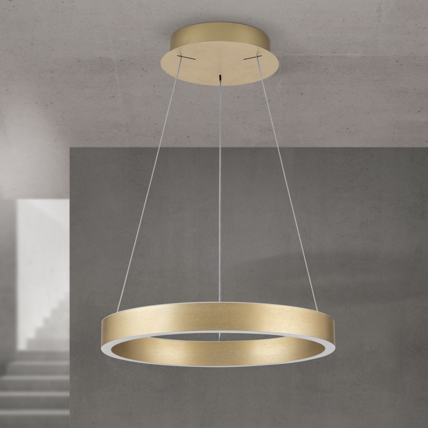 LED lestenec s možnostjo zatemnitve na jekleni vrvici KOLK LED/40W/230V 2700/3000/4000K, premer 40 cm, zlate barve