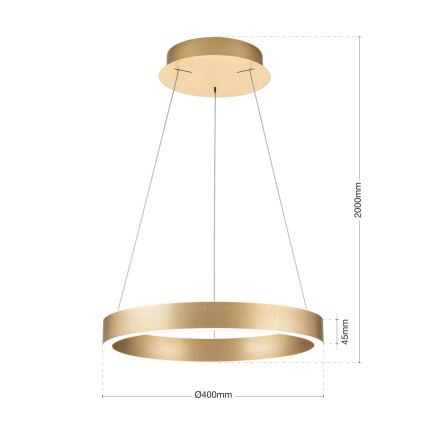 LED lestenec s možnostjo zatemnitve na jekleni vrvici KOLK LED/40W/230V 2700/3000/4000K, premer 40 cm, zlate barve