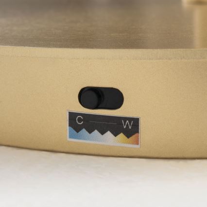 LED stoječa svetilka KOLK LED/40W/230V 2700/4000K z zatemnitvijo, zlata