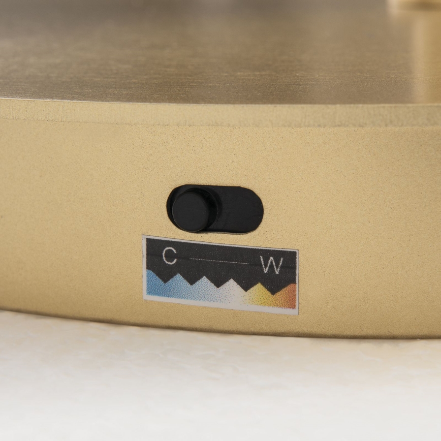 LED stoječa svetilka KOLK LED/40W/230V 2700/4000K z zatemnitvijo, zlata