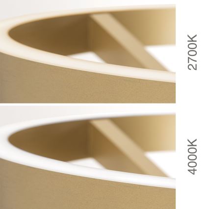 LED stoječa svetilka KOLK LED/40W/230V 2700/4000K z zatemnitvijo, zlata