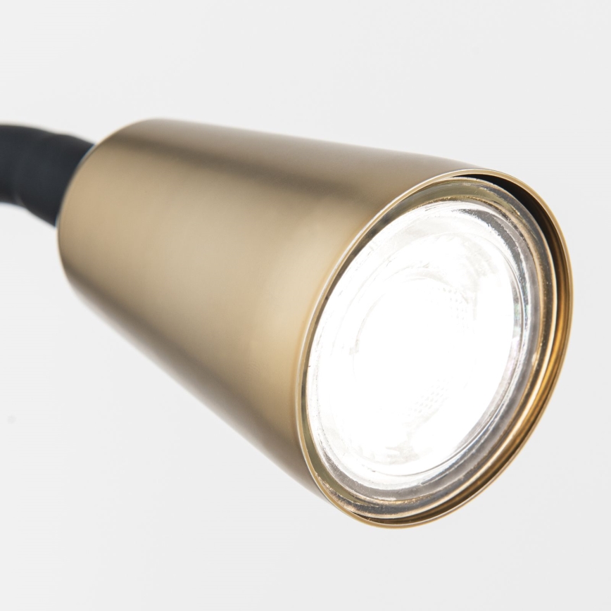 Prilagodljiva namizna svetilka s sponko DOTTY 1xGU10/10W/230V medeninasta/črna