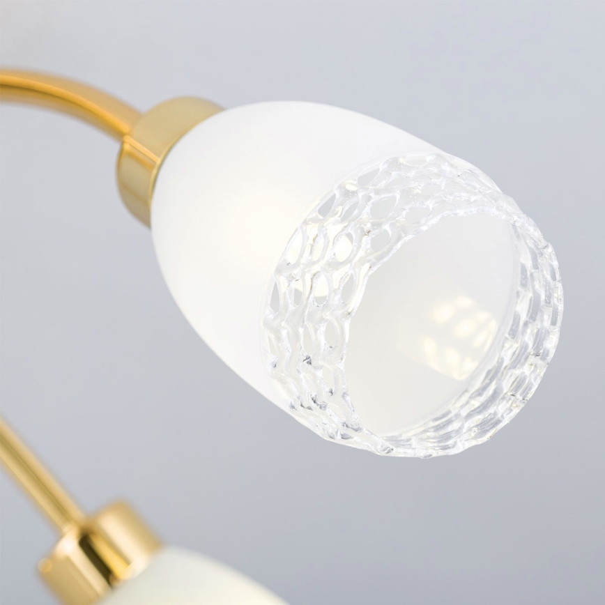 Pritrdjen stropni lestenec CARLA 5xG9/28W/230V zlati