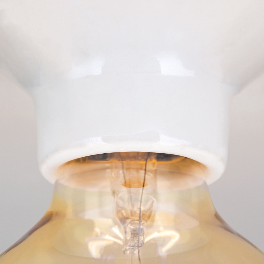 Stropna svetilka FROST 1xE27/60W/230V bela