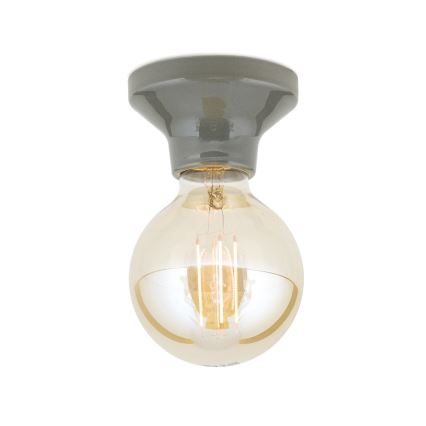 Stropna svetilka FROST 1xE27/60W/230V siva