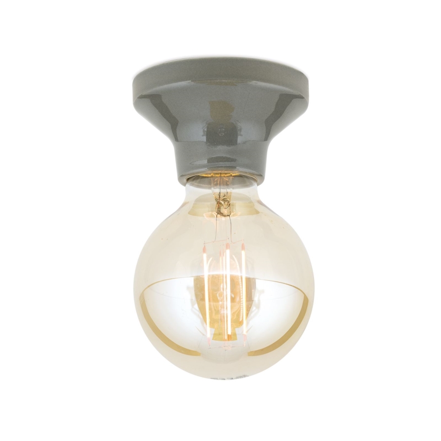 Stropna svetilka FROST 1xE27/60W/230V siva