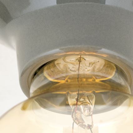 Stropna svetilka FROST 1xE27/60W/230V siva