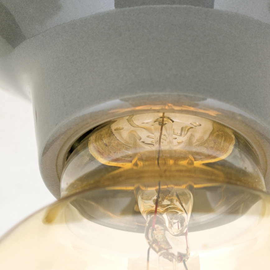 Stropna svetilka FROST 1xE27/60W/230V siva