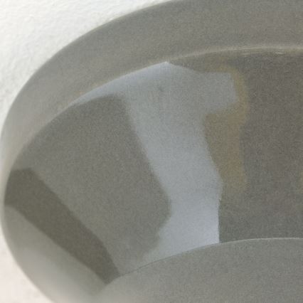 Stropna svetilka FROST 1xE27/60W/230V siva