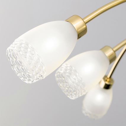 Lestenec na drogu CARLA 8xG9/28W/230V zlata