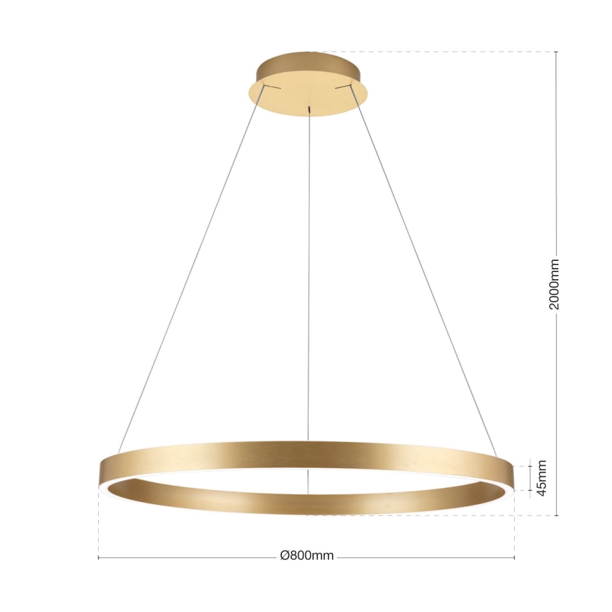 Zatemljiv zlati LED lestenec na jekleni vrvici KOLK LED/80W/230V 2700/3000/4000K, premer 80 cm