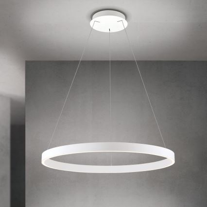 Orion - zatemljiv LED lestenec na vrvici KOLK LED/80W/230V 2700/3000/4000K premer 80 cm bela