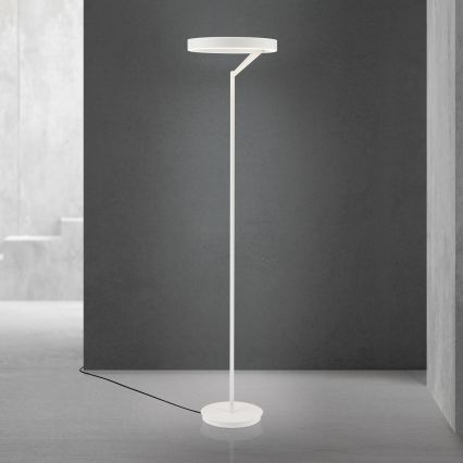 LED zatemnjiva stoječa svetilka KOLK LED/40W/230V 2700/4000K bela