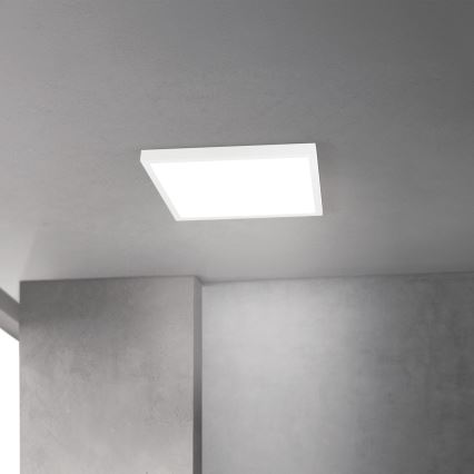 LED zatemnjiva stropna svetilka DISC LED/30W/230V 2700/3000/4000K 39x39 cm bela