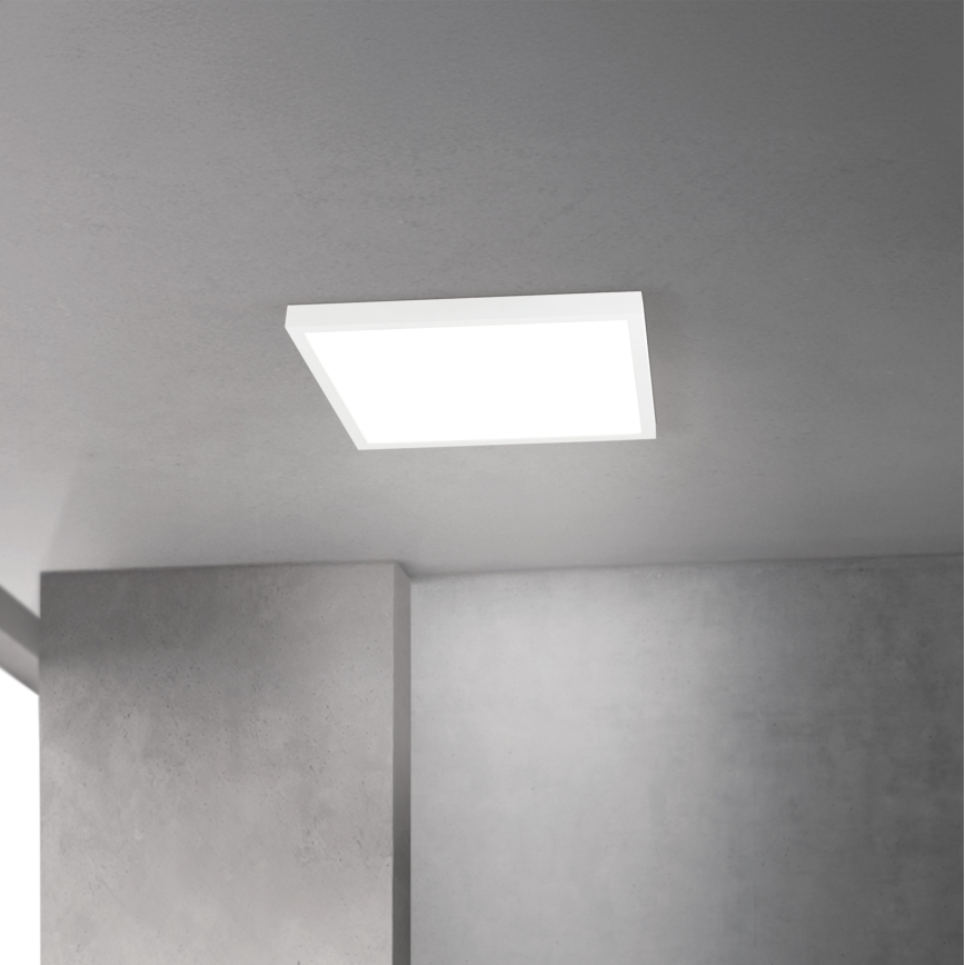 LED zatemnjiva stropna svetilka DISC LED/30W/230V 2700/3000/4000K 39x39 cm bela