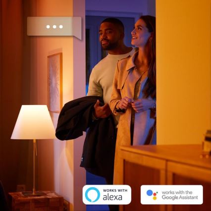 Osnovni komplet Philips Hue STARTER KIT 2xE27/9W + naprava za povezovanje 2700K