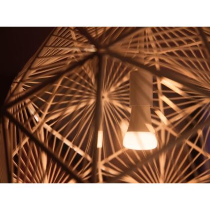 Osnovni komplet Philips Hue WHITE AMBIANCE 2xE27/8W/230V + Hue bridge in stikalo za zatemnjevanje
