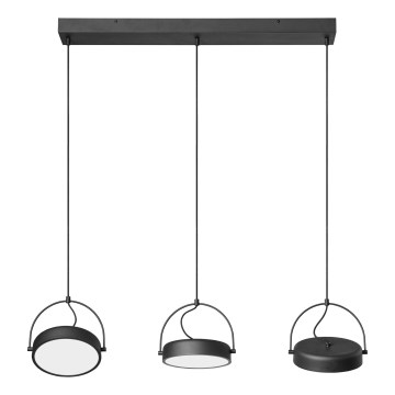 Osram - LED lestenec na kablu DECOR PUCK 3xLED/12W/230V CRI 90 črna