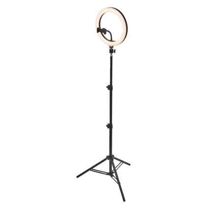 Osram - LED svetilka z nastavljivo svetlostjo, stojalom in držalom za vloganje LED/6W/USB 210 mAh