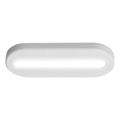 Osram - LED orientacijska svetilka s senzorjem gibanja MOBILE LED/0,5W/3,7V 330 mAh CRI 90 bela