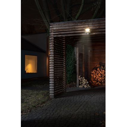 Osram - LED reflektor s senzorjem ENDURA LED/50W/230V 4000K IP44