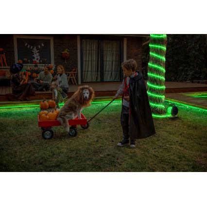 Osram - LED RGB zatemljiv zunanji trak FLEX 15m LED/100W/230V IP65 + daljinski upravljalnik
