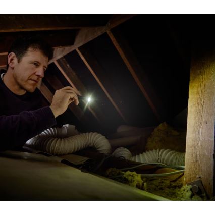 Osram - zatemnjiva LED ročna svetilka LEDINSPECT TORCH 250 ESSENTIAL LED/2W/2xAAA IP44