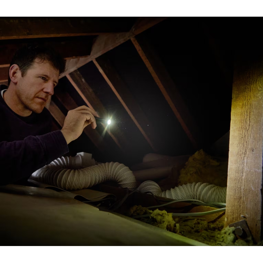 Osram - zatemnjiva LED ročna svetilka LEDINSPECT TORCH 250 ESSENTIAL LED/2W/2xAAA IP44