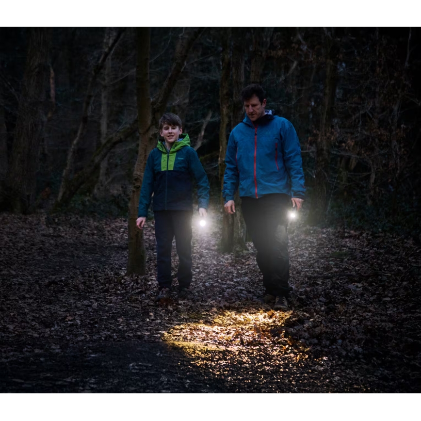 Osram - Zatemnjiva LED svetilka LEDINSPECT TORCH 350 ESSENTIAL LED/4W/2xAAA IP44