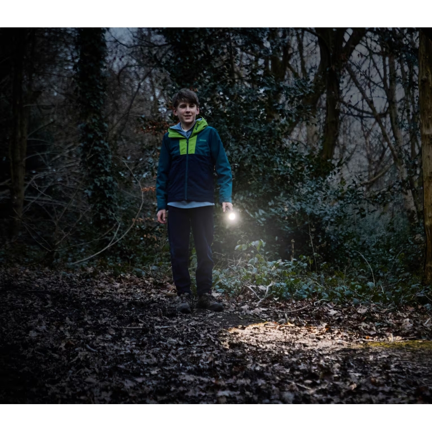 Osram - Zatemnjiva LED svetilka LEDINSPECT TORCH 350 ESSENTIAL LED/4W/2xAAA IP44