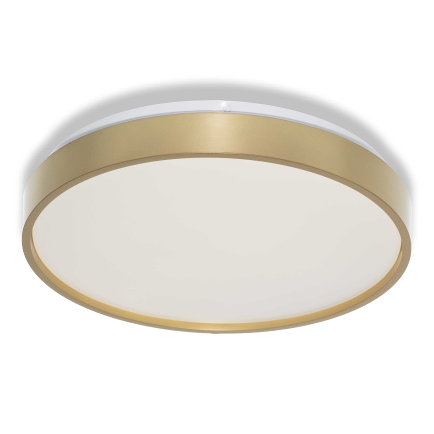 Osram - LED stropna svetilka CEILING LUXO LED/18W/230V, premer 32 cm, zlata