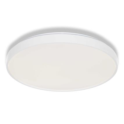 Osram - LED stropna svetilka CEILING LUXO LED/36W/230V, premer 49 cm, bela