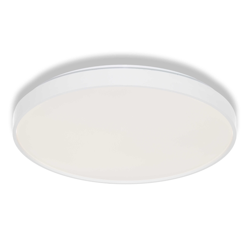 Osram - LED stropna svetilka CEILING LUXO LED/36W/230V, premer 49 cm, bela