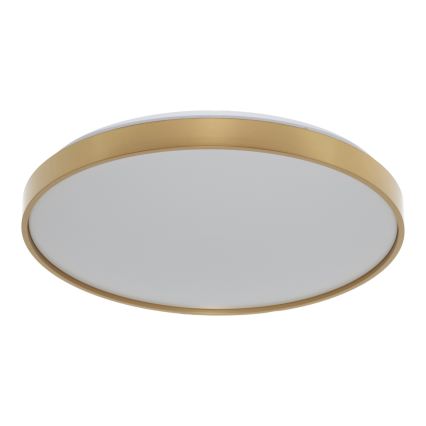 Osram - LED stropna svetilka CEILING LUXO LED/36W/230V Ø 49 cm zlata