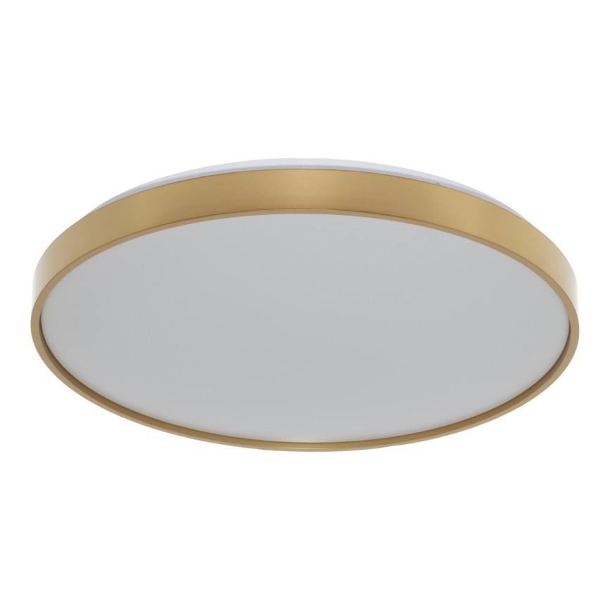 Osram - LED stropna svetilka CEILING LUXO LED/36W/230V Ø 49 cm zlata