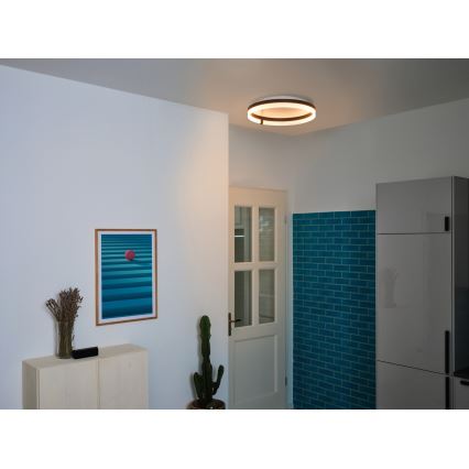 Osram - LED stropna svetilka DECOR CIRCLE LED/32W/230V 3000/4000/6500K premer 50 cm črna/bela