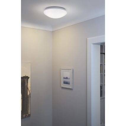 Osram - LED stropna svetilka ESSENTIAL LED/13W/230V 6500K premer 25 cm