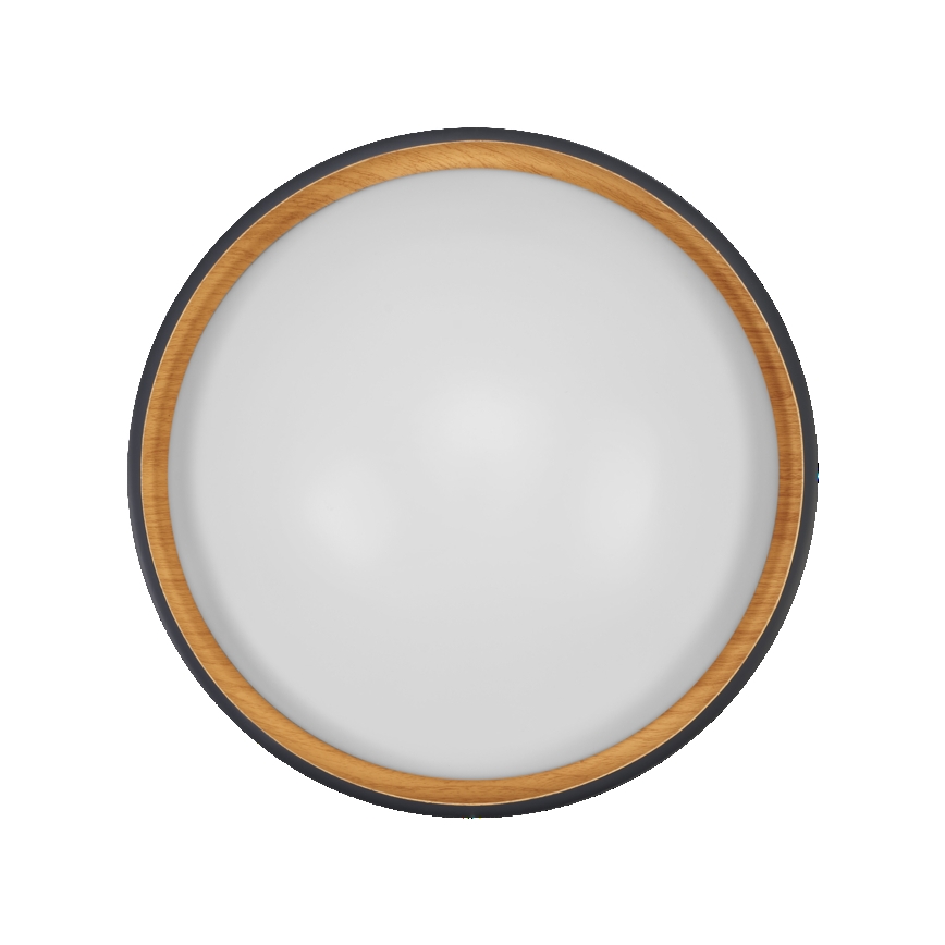 Osram - Zatemnljivo LED stropno svetilo ORBIS LIVIA LED/16W/230V premer 30 cm antracit/rjava