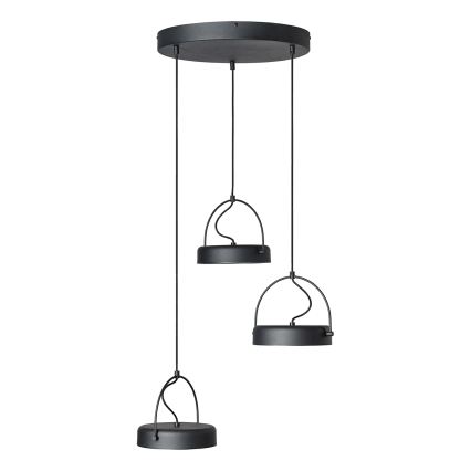 Osram - LED viseči lestenec na kablu DECOR PUCK 3xLED/12W/230V CRI 90 črna