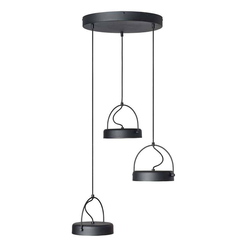 Osram - LED viseči lestenec na kablu DECOR PUCK 3xLED/12W/230V CRI 90 črna