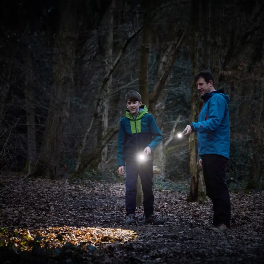 Osram - zatemnjevalna ročna svetilka LEDINSPECT TORCH 450 ESSENTIAL LED/6W/3xAAA IP44