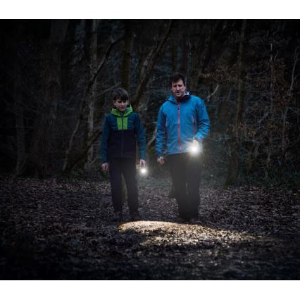 Osram - zatemnjevalna ročna svetilka LEDINSPECT TORCH 450 ESSENTIAL LED/6W/3xAAA IP44