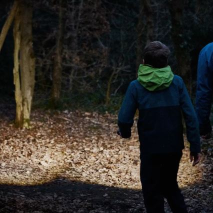 Osram - zatemnjevalna ročna svetilka LEDINSPECT TORCH 450 ESSENTIAL LED/6W/3xAAA IP44