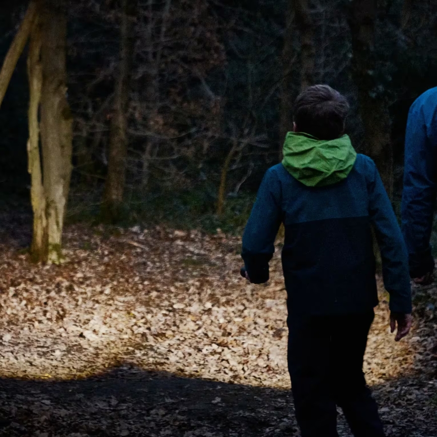 Osram - zatemnjevalna ročna svetilka LEDINSPECT TORCH 450 ESSENTIAL LED/6W/3xAAA IP44