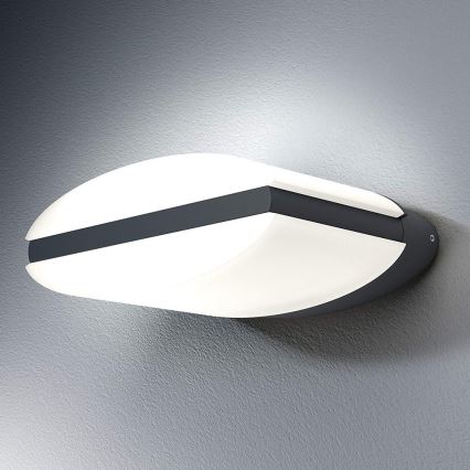 Osram - LED Zunanja stenska svetilka ENDURA LED/13W/230V IP44 črna IP44