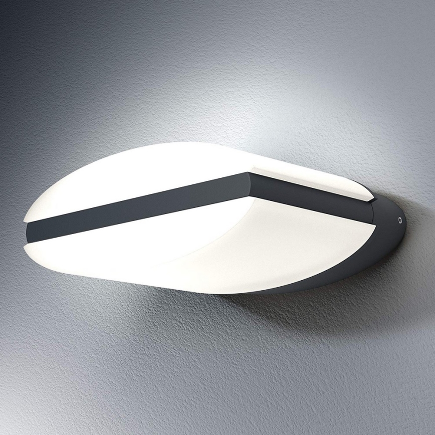 Osram - LED Zunanja stenska svetilka ENDURA LED/13W/230V IP44 črna IP44